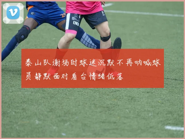 泰山队谢场时球迷沉默不再呐喊球员静默面对看台情绪低落